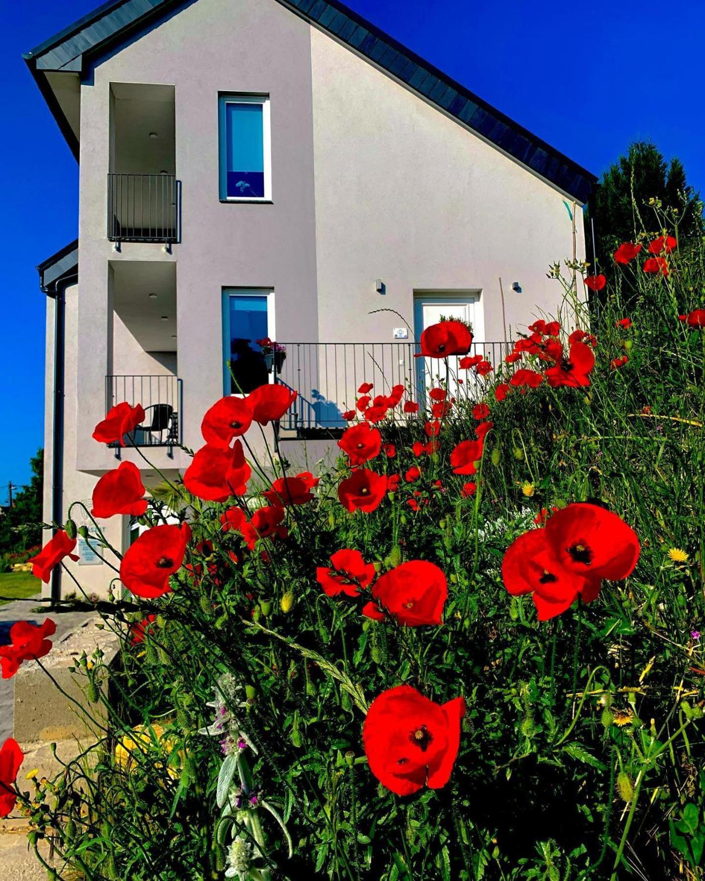 Old Hill Residence Csopak Exterior foto